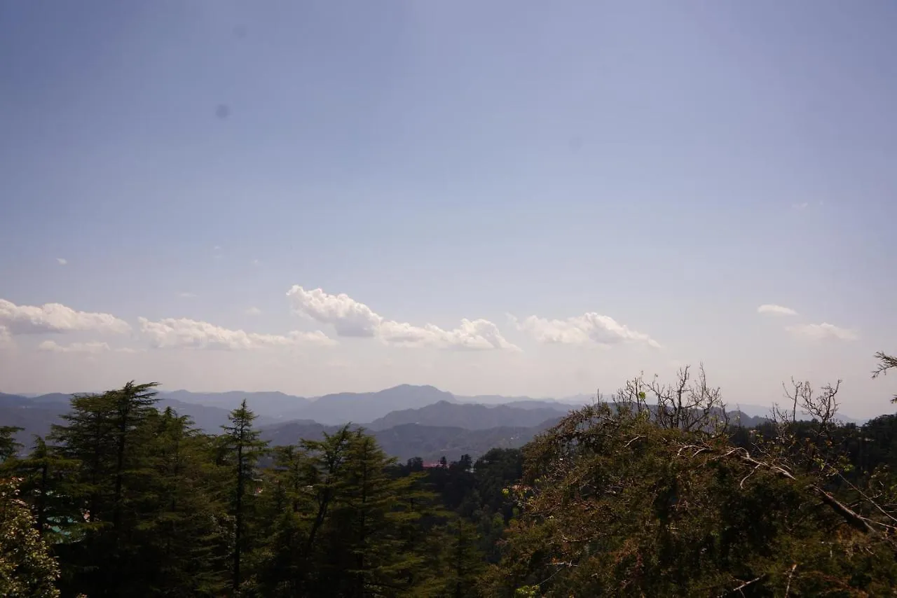 Jakhu Vibes Shimla Bed & Breakfast