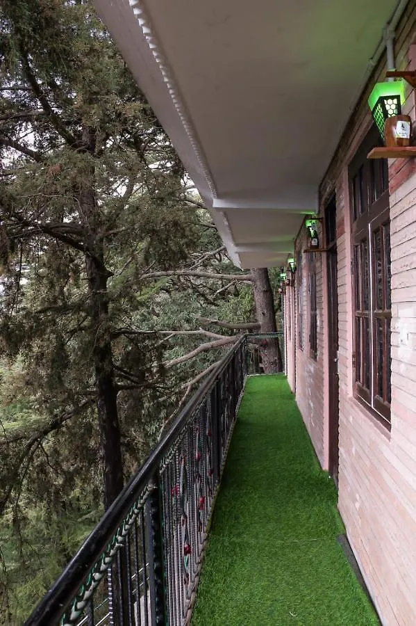 Jakhu Vibes Shimla 3*,