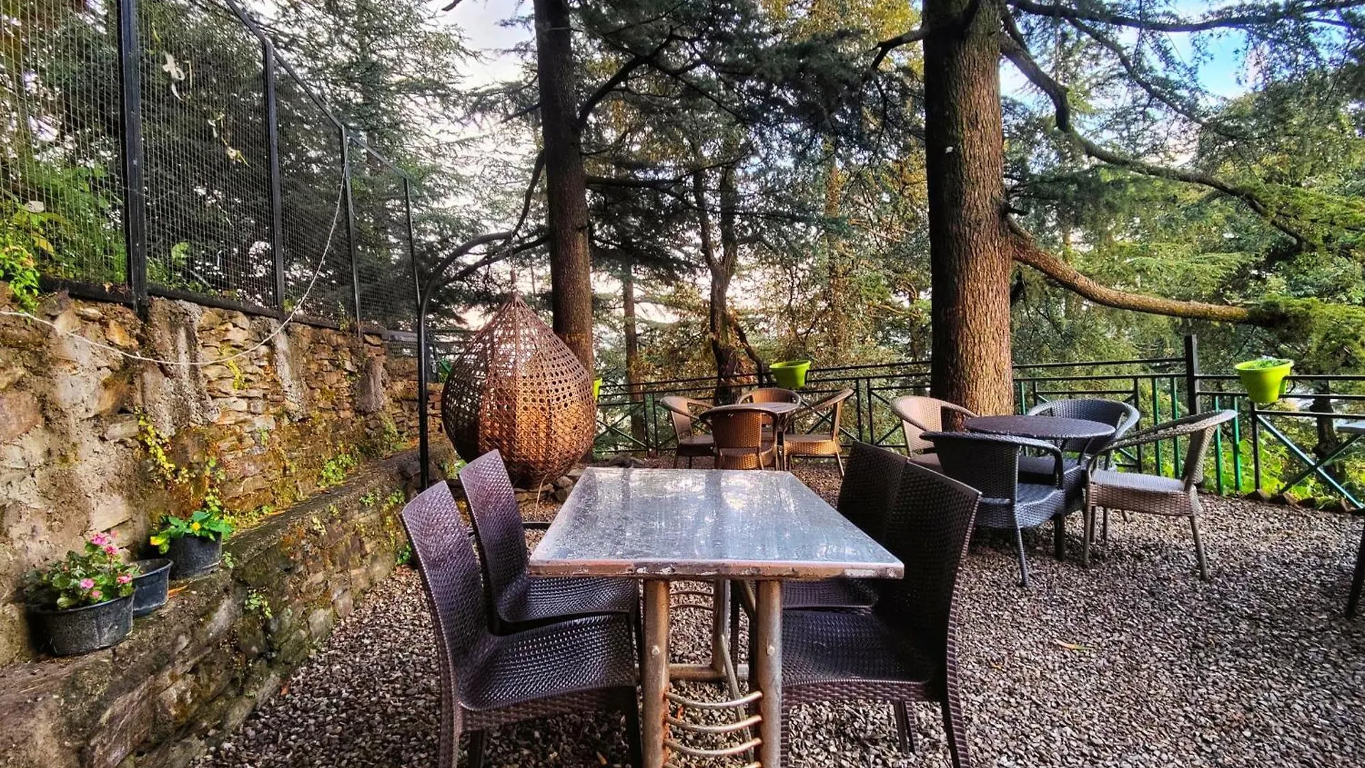 Jakhu Vibes Shimla